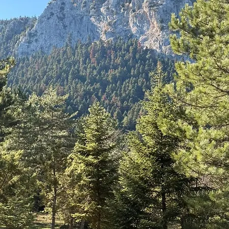Dağ evi Cedar Wood *