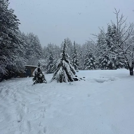 Cedar Wood Άνω Πολύδροσος