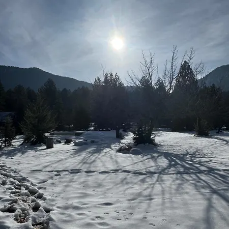 Chalet Cedar Wood