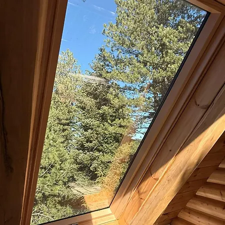 Cedar Wood
