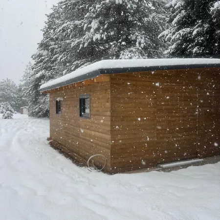Dağ evi Cedar Wood
