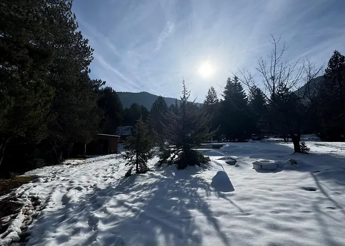 Cedar Wood * Άνω Πολύδροσος