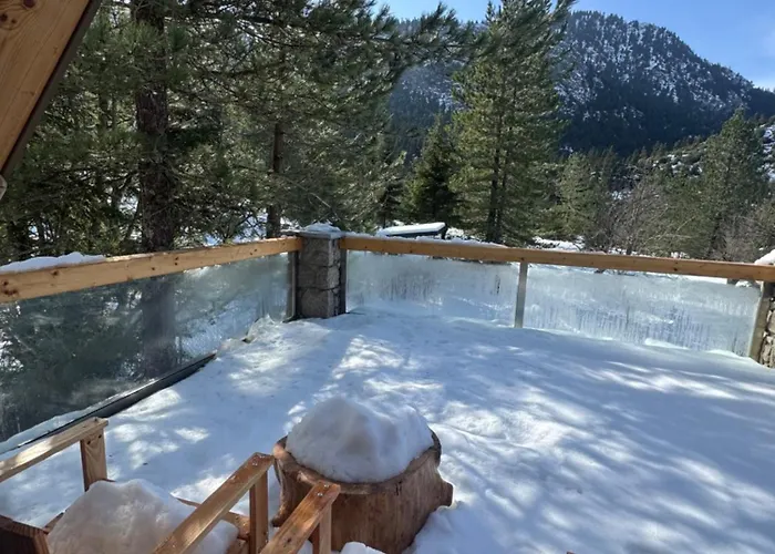 Cedar Wood * Άνω Πολύδροσος