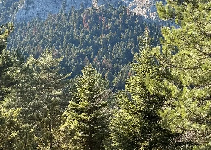 Σαλέ Cedar Wood Άνω Πολύδροσος